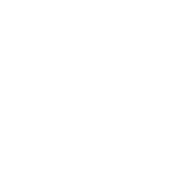 （ブリッジ・義歯・インプラント/高齢者歯科）